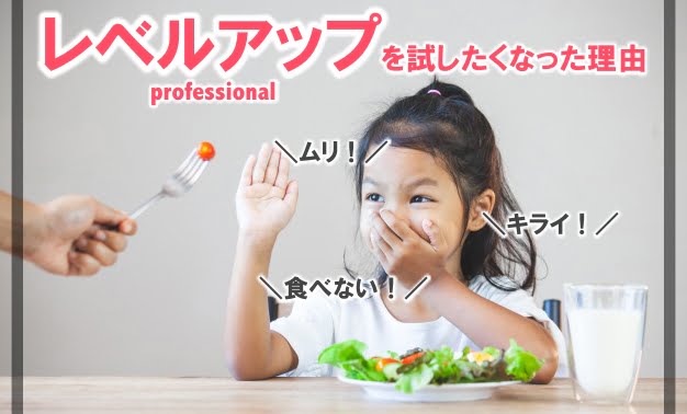 レベルアッププロフェッショナル 口コミ1