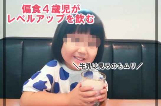 レベルアッププロフェッショナル 口コミ8