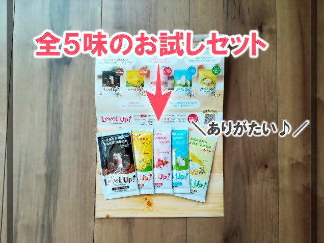 レベルアッププロフェッショナル 口コミ7