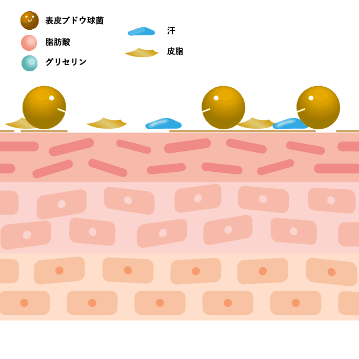 リアラスター 美肌菌