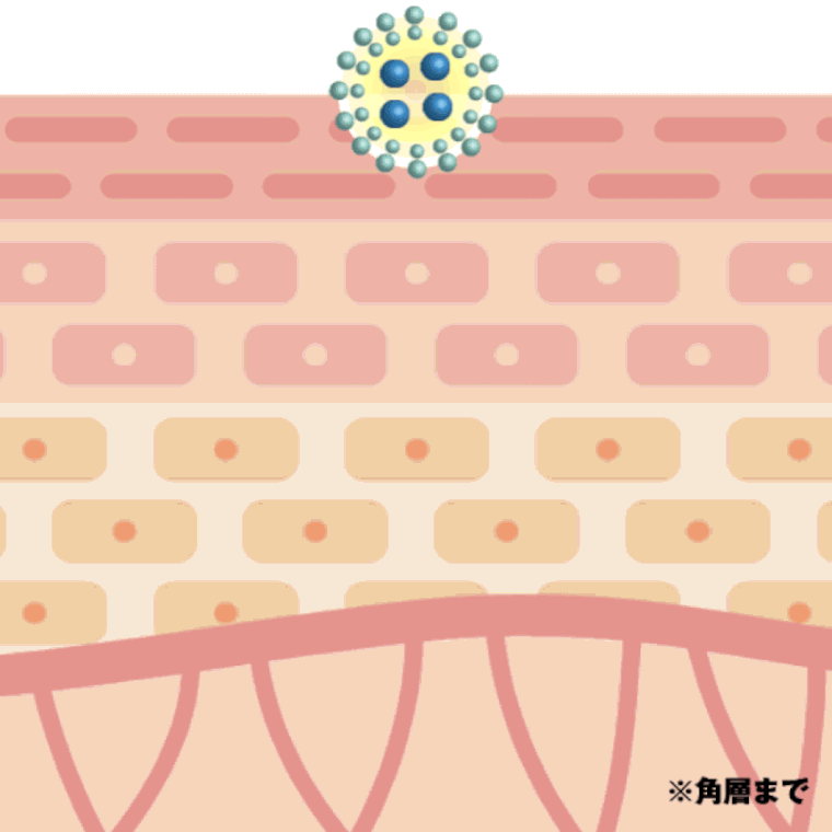 リアラスター 浸透