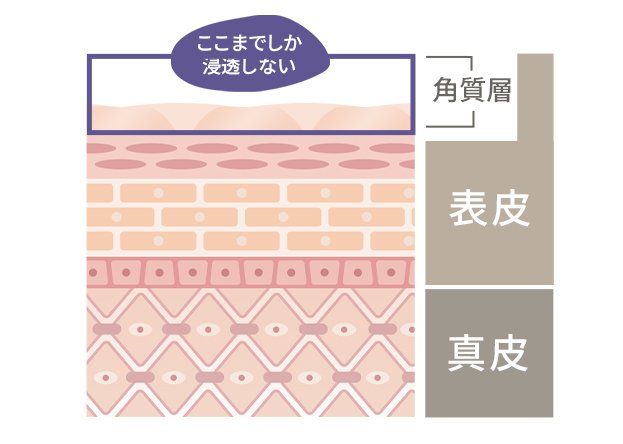 美容液は角質層までしか浸透しない