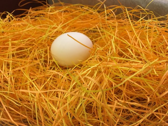 公式サイトで紹介されている卵殻膜の研究者「跡見順子先生」の成果論文発表会の概要でも『適度な量の卵殻膜には、細胞自らが正常な状態へ修復するように働きかける効果があるということが証明されました』とあります。 [jin-iconbox10]参考：卵殻膜のちからとは 参考：卵殻膜の働きにより細胞が自分で作る健康な環境：東京大学[/jin-iconbox10] さらに東京大学の特任教授の加藤久典によると「卵殻膜の有用性についての研究を進めることで、産業廃棄物の低減や、新規機能性食品、医療品開発への応用が期待できる。」ということです。