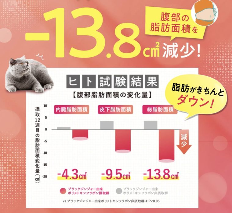 メラットで痩せる理由　脂肪がきちんとダウン