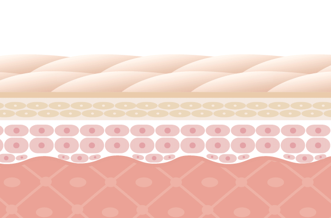 ヌーアセラム nurセラム　浸透する